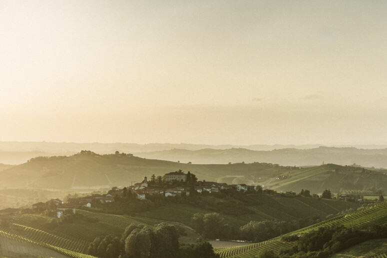 - RIPRODUZIONE RISERVATA