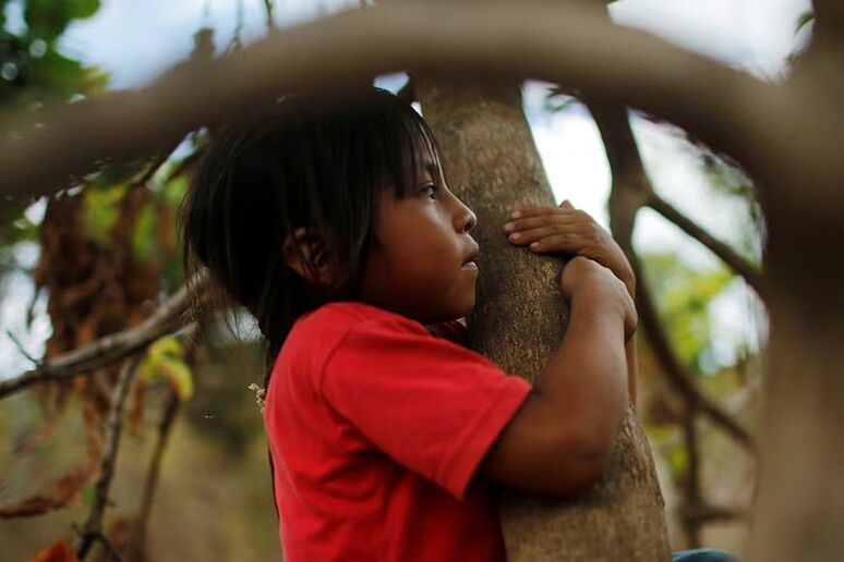 Brasile, tubercolosi dimezzata da un programma anti-povertà